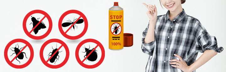 汚部屋に発生する虫の種類と退治方法