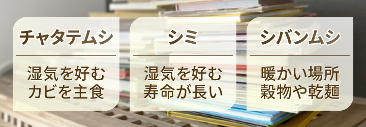 本につく小さい・白い虫はどこから発生する？