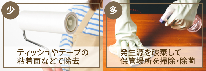 本につく虫の駆除方法