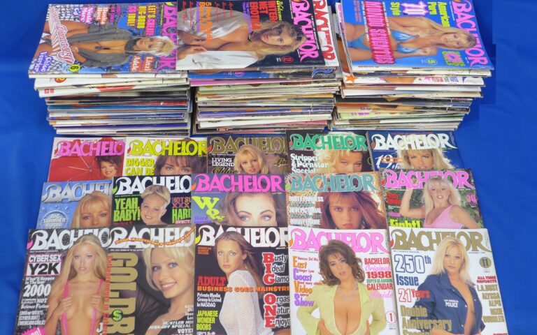 （明石市）【出張買取】バチェラー等巨乳系アダルト雑誌/ガンプラ